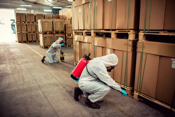 Best Affordable Pest Control Services  in Ridgeville, SC