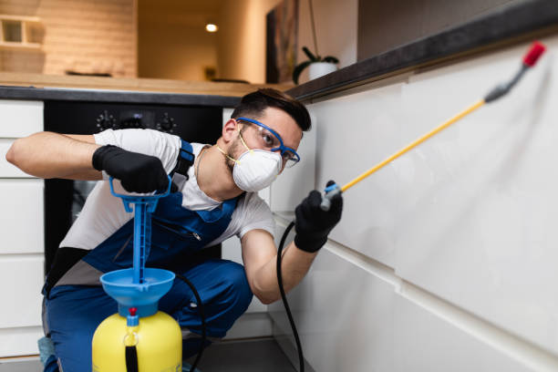 Best Local Pest Control Services  in Ridgeville, SC
