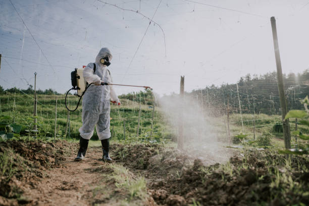 Best Ant Control Services  in Ridgeville, SC