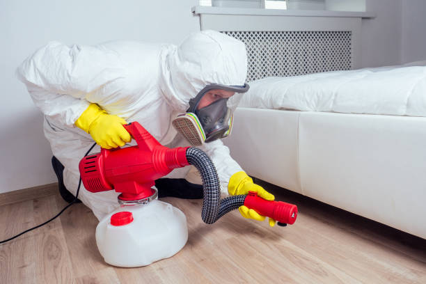 Best Pest Removal Services  in Ridgeville, SC