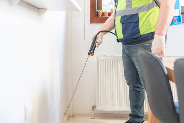 Best Termite Control Services  in Ridgeville, SC
