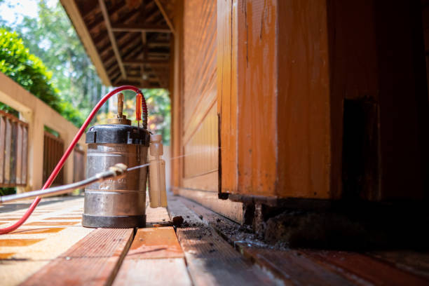 Best Pest Control for Businesses  in Ridgeville, SC