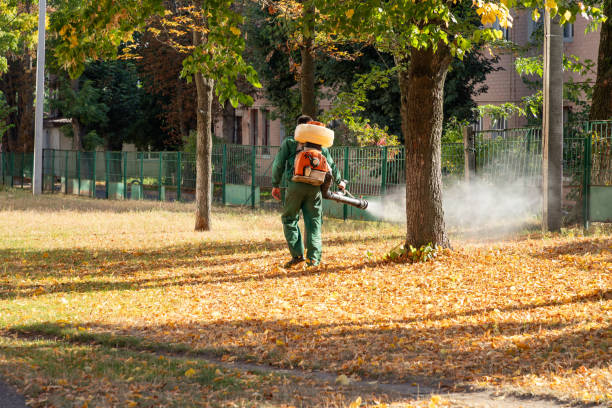 Best Emergency Pest Control  in Ridgeville, SC