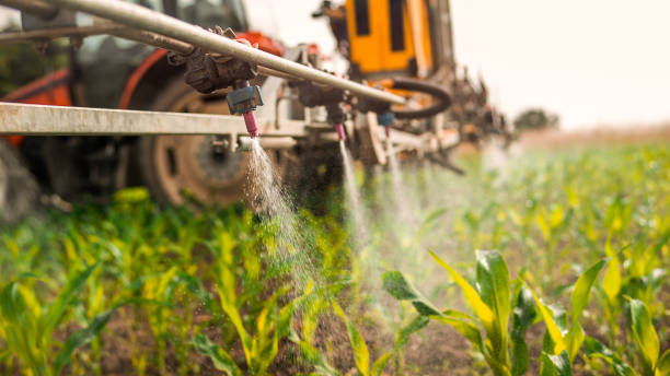Best Mosquito Control Services  in Ridgeville, SC