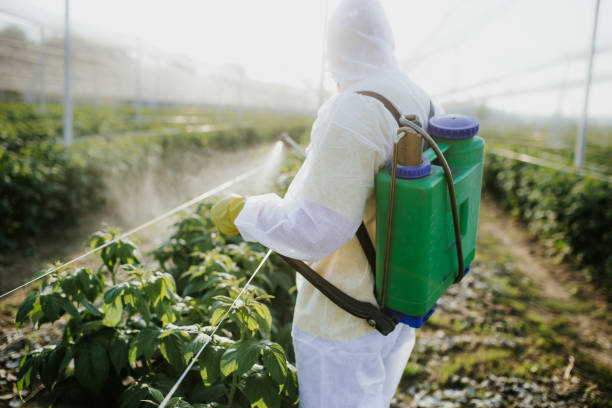  Ridgeville, SC Pest Control Pros